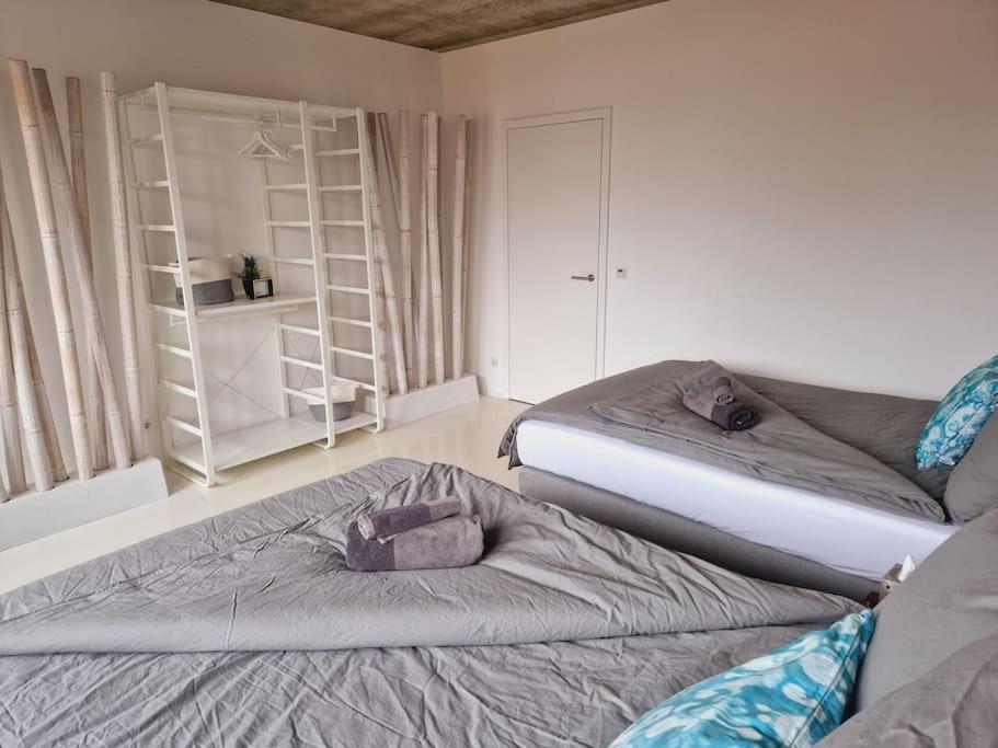 Exklusives Design-Penthouse Mc1 Apartamento Seligenstadt Exterior foto